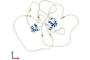 Protein Structure (PS) image for Paired Box 1 (PAX1) (AA 1-534) protein (His tag) (ABIN7550632)