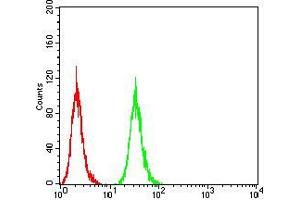 Flow Cytometry (FACS) image for anti-ATG16 Autophagy Related 16-Like 1 (ATG16L1) (AA 11-257) antibody (ABIN5542578)