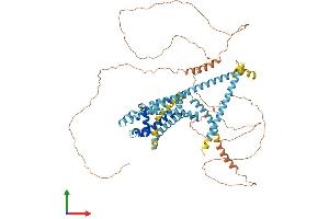 AlphaFold protein structure predicition of Mouse Recombinant Catsper1 Protein, UniprotID Q91ZR5 (CATSPER1 Protein (AA 1-686) (His tag))