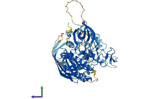 Protein Structure (PS) image for Protein Kinase C, eta (PRKCH) (AA 1-683) protein (His tag) (ABIN7554385)