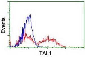 HEK293T cells transfected with either RC222628 overexpress plasmid (Red) or empty vector control plasmid (Blue) were immunostained by anti-TAL1 antibody (ABIN2455288), and then analyzed by flow cytometry. (TAL1 antibody)