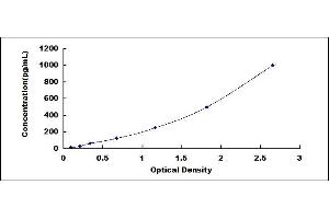 Granzyme A (Granzyme 1, Cytotoxic T-Lymphocyte-Associated serine Esterase 3) (GZMA) ELISA Kit