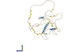 AlphaFold protein structure predicition of Human Recombinant PROSER2 Protein, UniprotID Q86WR7 (PROSER2 Protein (AA 1-435) (His tag))