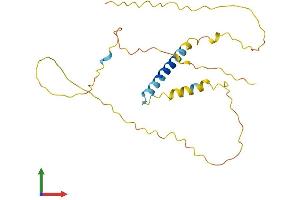 AlphaFold protein structure predicition of Mouse Recombinant Liat1 Protein, UniprotID Q810M6 (LIAT1/C17orf97 Protein (AA 1-228) (His tag))