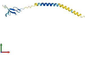 AlphaFold protein structure predicition of Mouse Recombinant Nrg4 Protein, UniprotID Q9WTX4