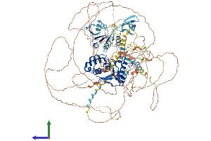 Protein Structure (PS) image for Asparagine-Linked Glycosylation 13 Homolog (ALG13) (AA 1-1137) protein (His tag) (ABIN7552178)