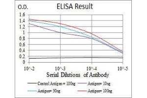 Black line: Control Antigen (100 ng), Purple line: Antigen(10 ng), Blue line: Antigen (50 ng), Red line: Antigen (100 ng), (LHCGR antibody)