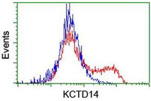 Flow Cytometry (FACS) image for anti-Potassium Channel Tetramerisation Domain Containing 14 (KCTD14) antibody (ABIN1499009) (KCTD14 antibody)