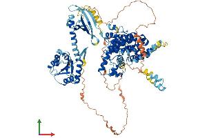 AlphaFold protein structure predicition of Mouse Recombinant Pde8a Protein, UniprotID O88502