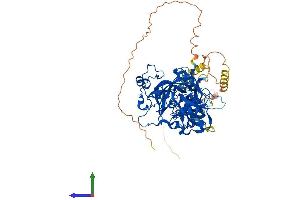AlphaFold protein structure predicition of Human Recombinant MBTD1 Protein, UniprotID Q05BQ5