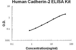 Human Cadherin-2/N-Cadherin Accusignal ELISA Kit Human Cadherin-2/N-Cadherin AccuSignal ELISA Kit standard curve.