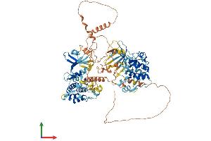 AlphaFold protein structure predicition of Mouse Recombinant Rps6ka5 Protein, UniprotID Q8C050 (MSK1 Protein (AA 1-863) (His tag))