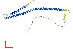 Protein Structure (PS) image for Mediator Complex Subunit 22 (MED22) (AA 1-200) protein (His tag) (ABIN7549349)