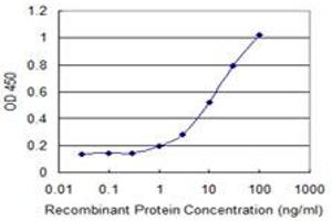 Detection limit for recombinant GST tagged DNAJB4 is 0. (DNAJB4 antibody  (AA 1-337))