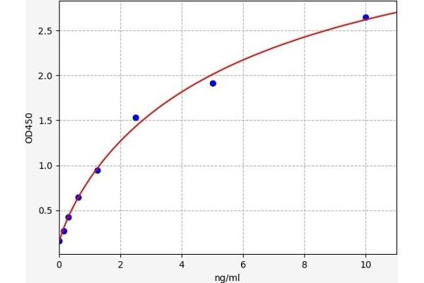 REG1 ELISA Kit