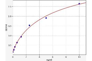 Typical standard curve (REG1 ELISA Kit)