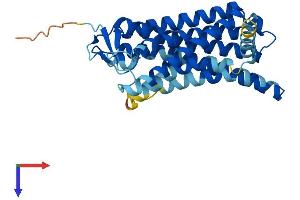AlphaFold protein structure predicition of Human Recombinant OR5A1 Protein, UniprotID Q8NGJ0 (OR5A1 Protein (AA 1-315) (His tag))