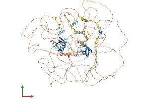 AlphaFold protein structure predicition of Mouse Recombinant Cobl Protein, UniprotID Q5NBX1 (COBL Protein (AA 1-1337) (His tag))