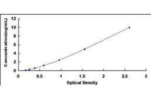 ELISA image for Dystrobrevin, beta (DTNB) ELISA Kit (ABIN3167945) (Dystrobrevin beta ELISA Kit)