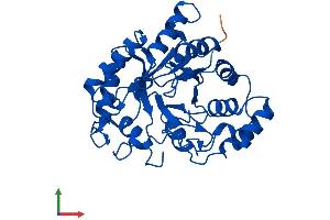Protein Structure (PS) image for Dihydrodiol Dehydrogenase (DDH) (AA 1-323) protein (His tag) (ABIN7551936)
