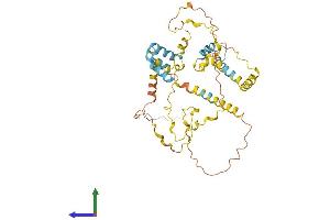 AlphaFold protein structure predicition of Human Recombinant FAM47DP Protein, UniprotID A6NHR8 (FAM47DP Protein (AA 1-397) (His tag))