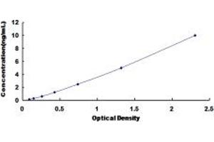 Typical standard curve (Cathepsin G ELISA Kit)