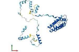 AlphaFold protein structure predicition of Mouse Recombinant Tmod4 Protein, UniprotID Q9JLH8