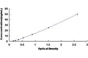 CELSR2 ELISA Kit