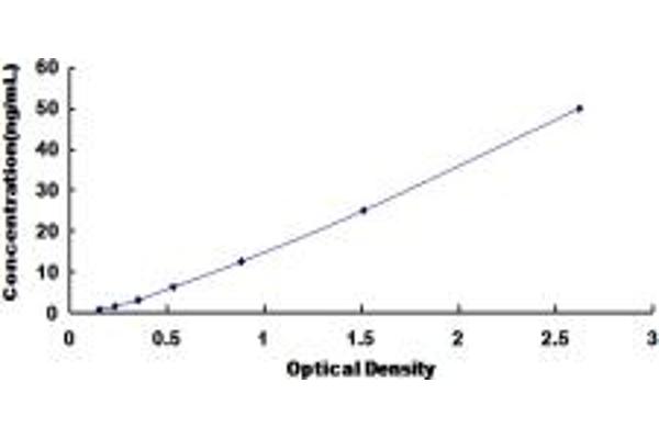 CELSR2 ELISA Kit