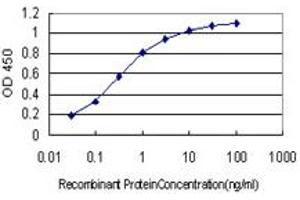 ELISA image for anti-Synaptosomal-Associated Protein, 23kDa (SNAP23) (AA 1-212) antibody (ABIN599065) (SNAP23 antibody  (AA 1-212))