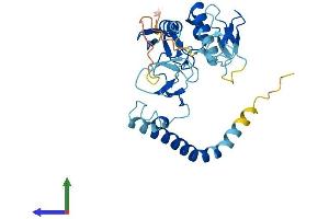 AlphaFold protein structure predicition of Human Recombinant RNF144A Protein, UniprotID P50876 (RNF144A Protein (AA 1-292) (His tag))