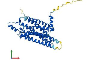 Protein Structure (PS) image for Adenosine A1 Receptor (ADORA1) (AA 1-326) protein (His tag) (ABIN7557579)
