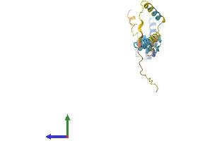 Protein Structure (PS) image for DnaJ (Hsp40) Homolog, Subfamily C, Member 5 (DNAJC5) (AA 1-198) protein (His tag) (ABIN7556568)