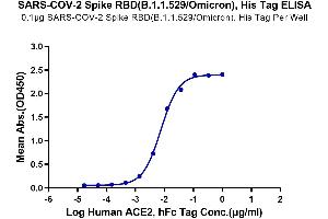 ELISA image for SARS-CoV-2 Spike (B.1.1.529 - Omicron), (RBD) protein (His tag) (ABIN7274388)