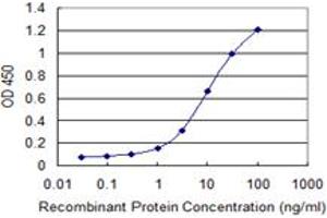 Detection limit for recombinant GST tagged EDEM1 is 0. (EDEM1 antibody  (AA 559-656))