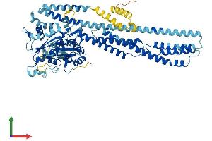 AlphaFold protein structure predicition of Human Recombinant GBP7 Protein, UniprotID Q8N8V2 (GBP7 Protein (AA 1-638) (His tag))