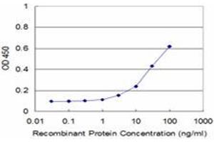 Detection limit for recombinant GST tagged TOPORS is approximately 3ng/ml as a capture antibody. (TOPORS antibody  (AA 98-205))