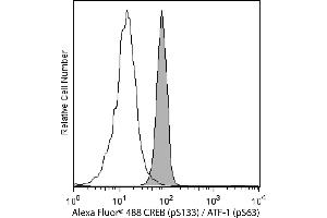 Flow Cytometry (FACS) image for anti-cAMP Responsive Element Binding Protein 1 (CREB1) (pSer133) antibody (Alexa Fluor 488) (ABIN1177049) (CREB1 antibody  (pSer133) (Alexa Fluor 488))
