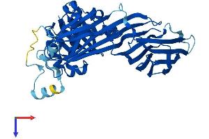 AlphaFold protein structure predicition of Mouse Recombinant Ap3m2 Protein, UniprotID Q8R2R9 (AP3M2 Protein (AA 1-418) (His tag))