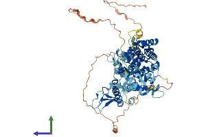 AlphaFold protein structure predicition of Human Recombinant RASGRP4 Protein, UniprotID Q8TDF6 (RASGRP4 Protein (AA 1-673) (His tag))