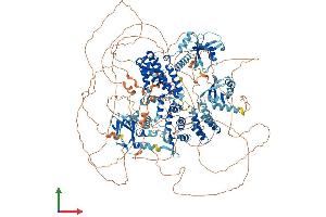 AlphaFold protein structure predicition of Mouse Recombinant Rapgef2 Protein, UniprotID Q8CHG7