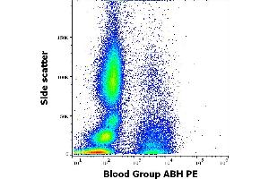 Flow cytometry surface staining pattern of human peripheral whole blood stained using anti-human Blood Group ABH (HE-10) PE antibody (concentration in sample 5 μg/mL). (Blood Group ABH antibody  (PE))
