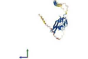 Protein Structure (PS) image for Fas Ligand (TNF Superfamily, Member 6) (FASL) (AA 1-279) protein (His tag) (ABIN7563219)