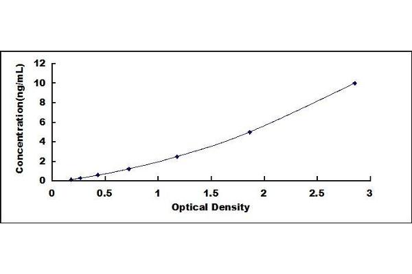 Calretinin ELISA Kit