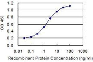 Detection limit for recombinant GST tagged LRGUK is 0. (LRGUK antibody  (AA 721-825))