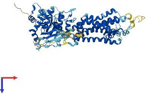 ABCG5 Protein (AA 1-651) (His tag)