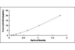 Typical standard curve (Annexin V ELISA Kit)