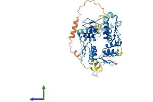 AlphaFold protein structure predicition of Human Recombinant ZNF25 Protein, UniprotID P17030 (ZNF25 Protein (AA 1-456) (His tag))