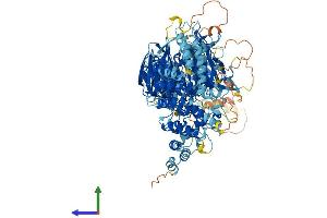 AlphaFold protein structure predicition of Human Recombinant WDR11 Protein, UniprotID Q9BZH6 (WDR11 Protein (AA 1-1224) (His tag))