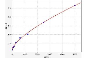 Superoxide dismutase copper chaperone ELISA Kit